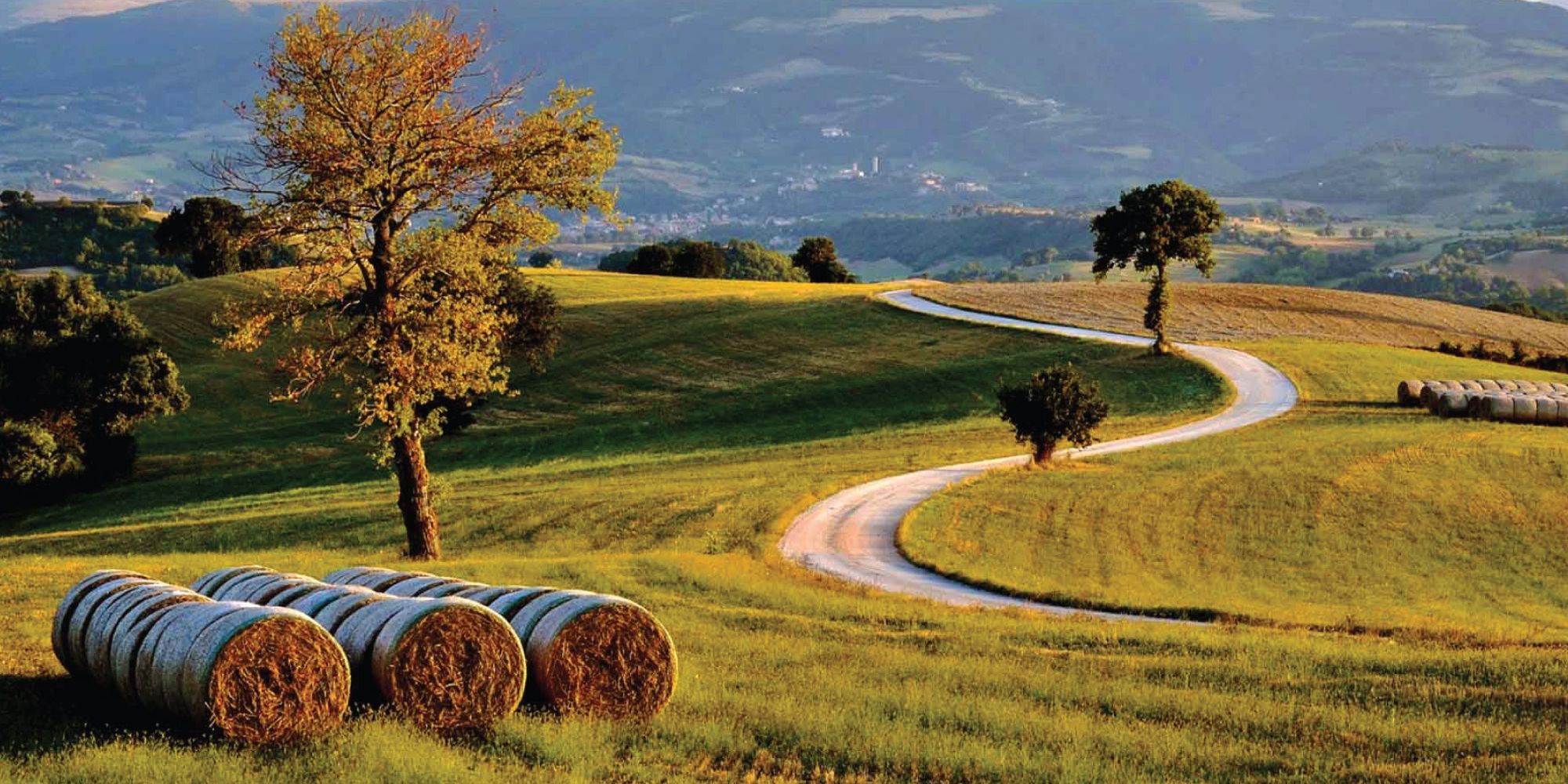Le marche nel mondo - La comunità marchigiana all'estero